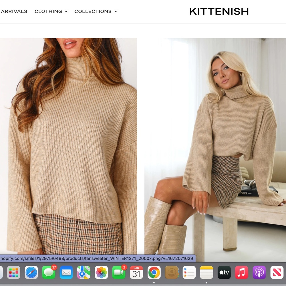 Kittenish (Cara Turtleneck Sweater)